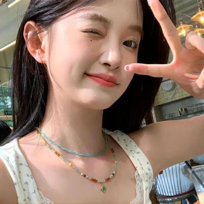 智叻狗仔队