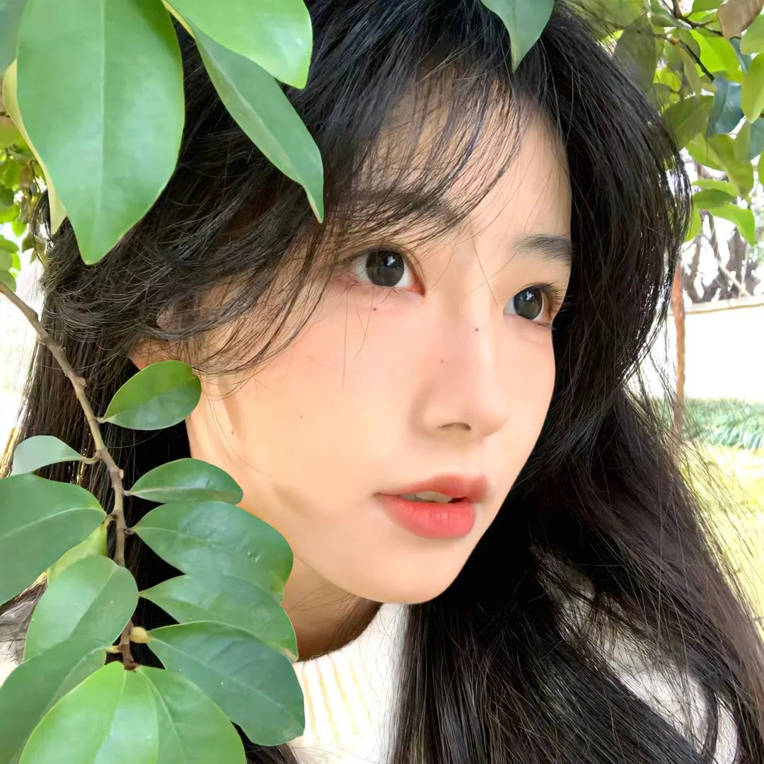 我们的高校时代